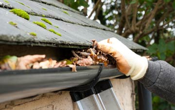 gutter cleaning Springfield